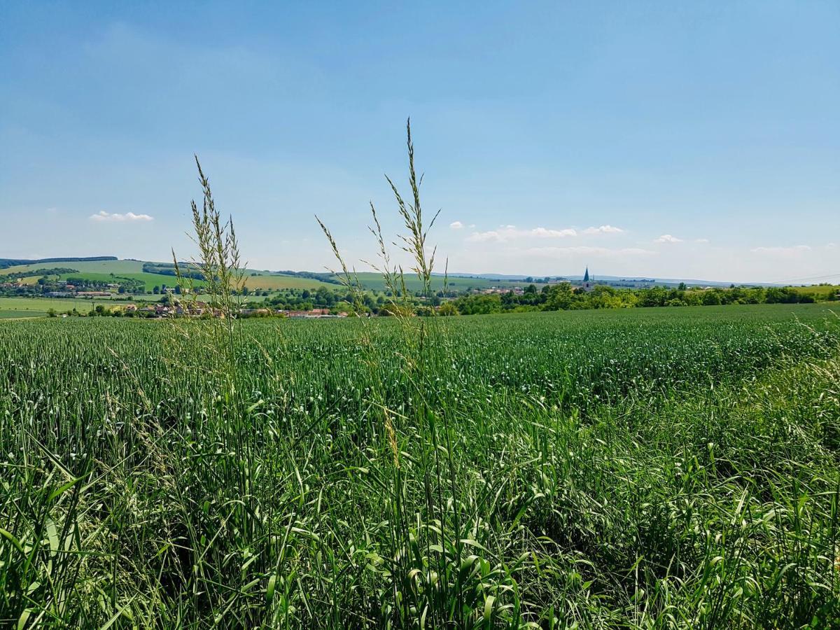 אוהרסקה הראדיסטה Ubytovani Ve Vinarstvi Medek | Medek House & Winery מראה חיצוני תמונה