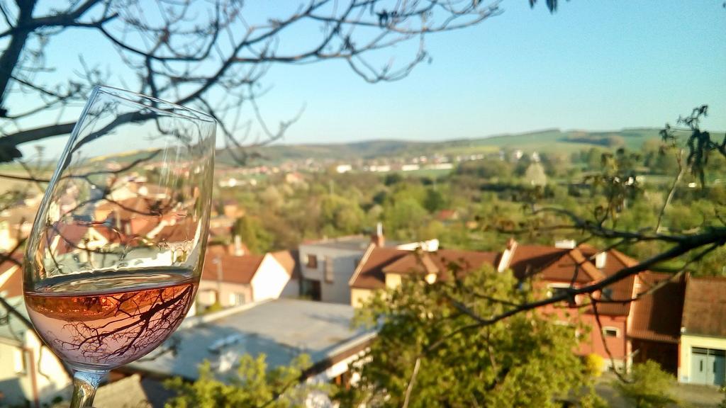 אוהרסקה הראדיסטה Ubytovani Ve Vinarstvi Medek | Medek House & Winery מראה חיצוני תמונה