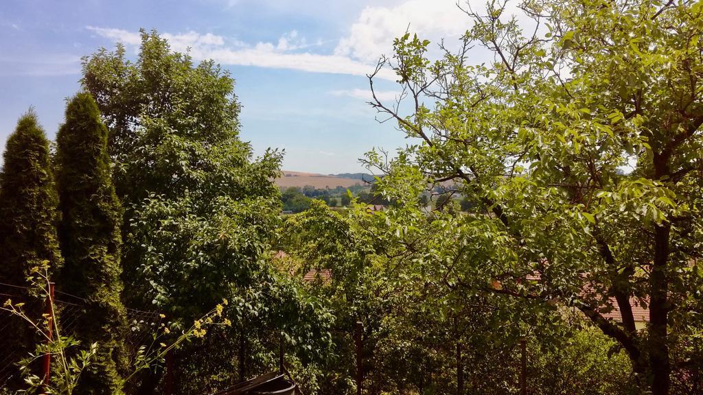 אוהרסקה הראדיסטה Ubytovani Ve Vinarstvi Medek | Medek House & Winery מראה חיצוני תמונה