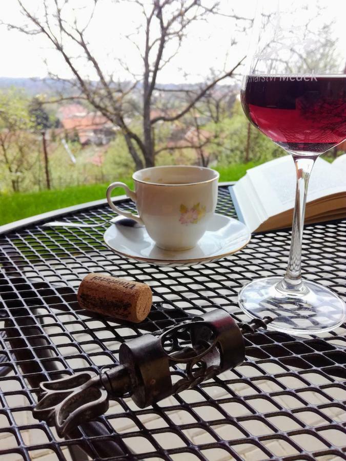 אוהרסקה הראדיסטה Ubytovani Ve Vinarstvi Medek | Medek House & Winery מראה חיצוני תמונה